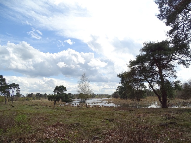 Strijbeek, 12-4-2016