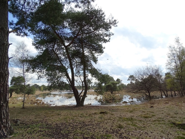 Strijbeek, 12-4-2016