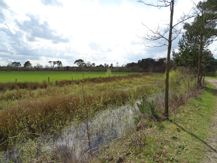 Strijbeek, 12-4-2016