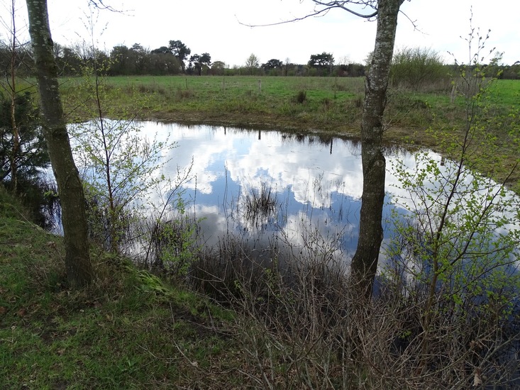 Strijbeek, 12-4-2016