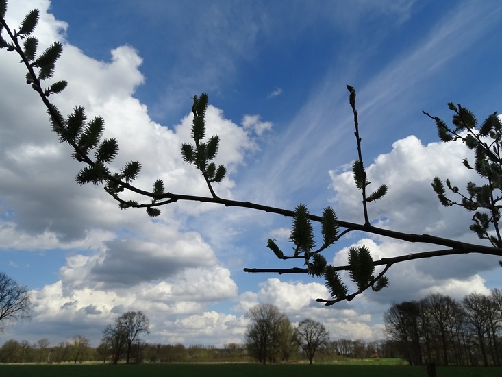 Strijbeek, 12-4-2016