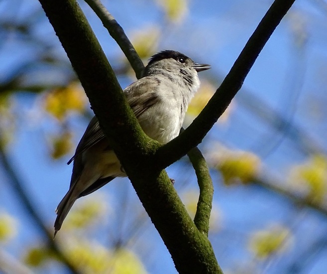 Lekker in het zonnetje.
