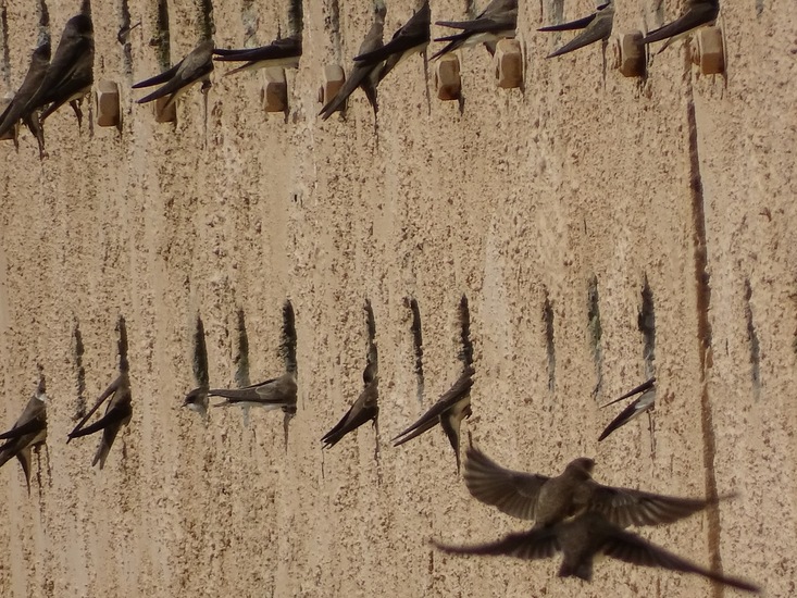 Allemaal op een rijtje.