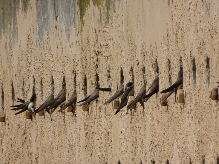 Allemaal op een rijtje.