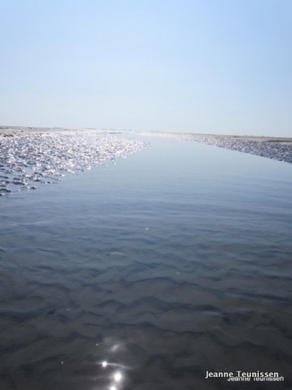 Waddenzee.