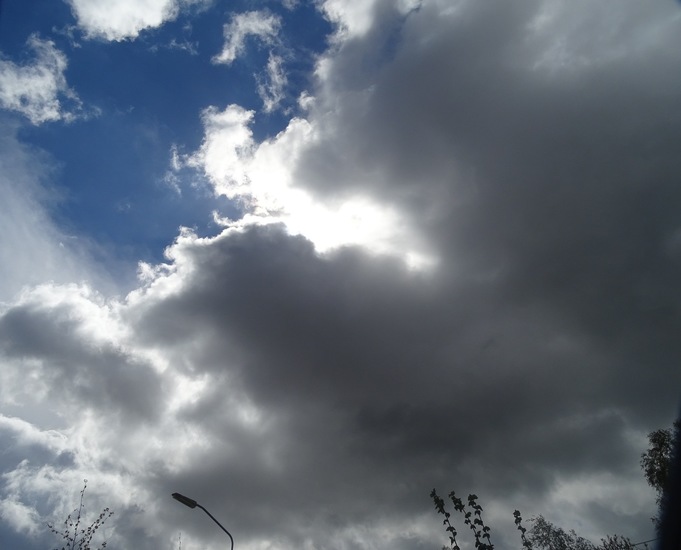 Rijen, Koningsdag 2016..