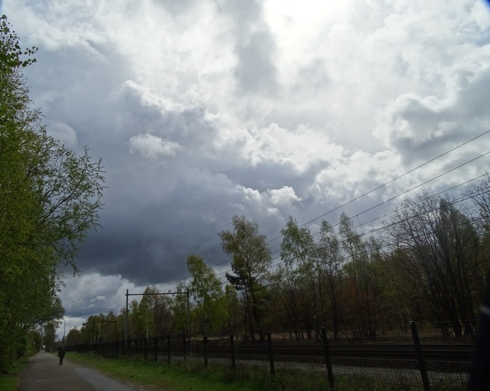 Rijen, Koningsdag 2016.