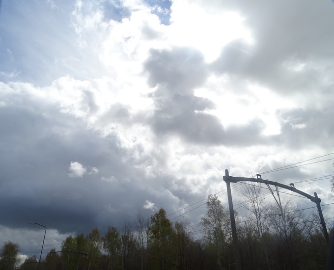 Rijen, Koningsdag 2016.