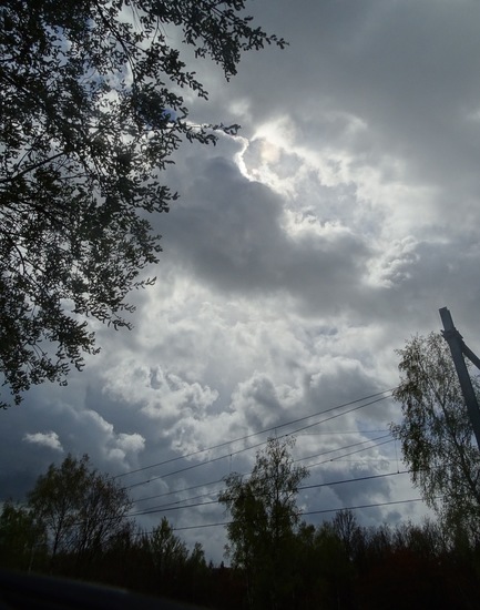 Rijen, Koningsdag 2016.