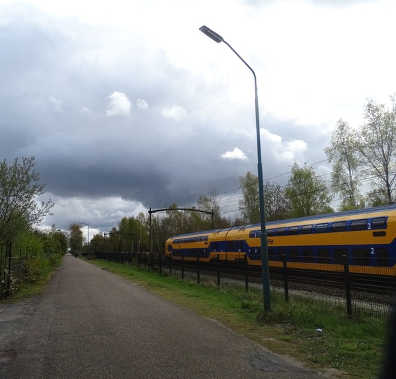 Rijen, Koningsdag 2016.