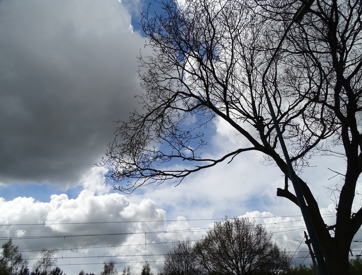 Rijen, Koningsdag 2016.