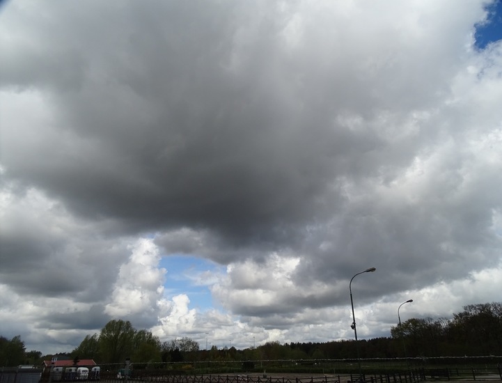 Rijen, Koningsdag 2016.