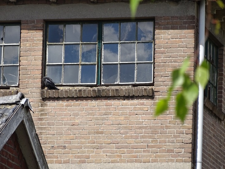 Muziekschool Dongen.