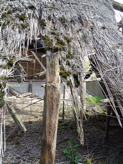 Tussen Riel en Tilburg.