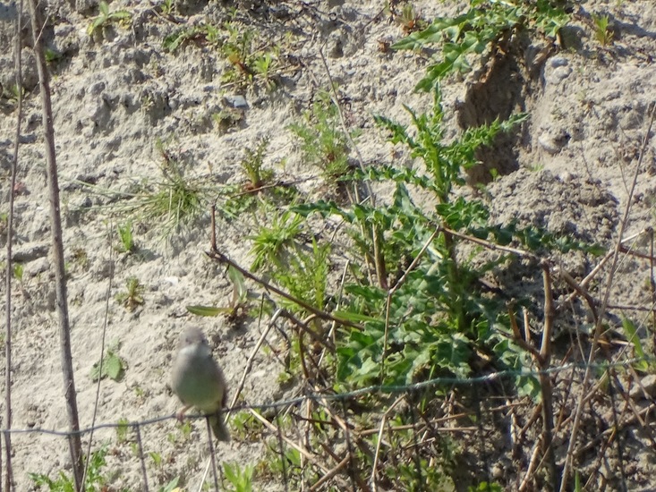 Sluizen van Tilburg.