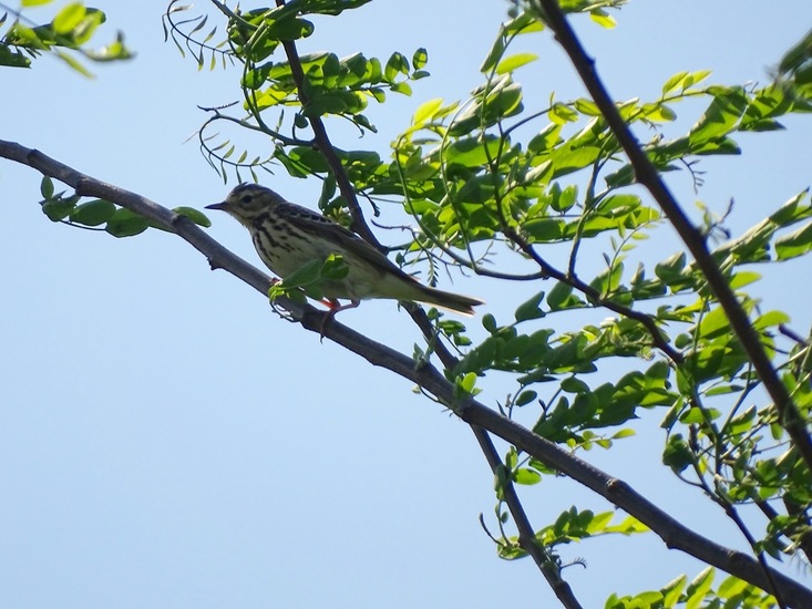 Sluizen van Tilburg.