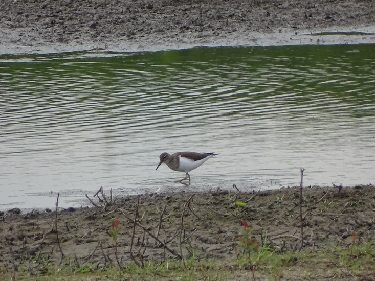 Sluizen van Tilburg.