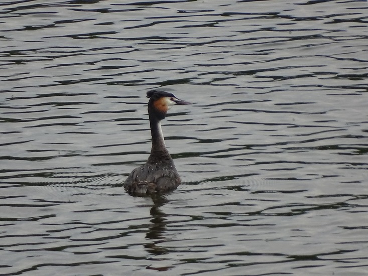 Sluizen van Tilburg.