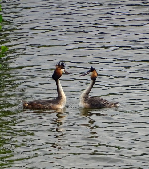 Sluizen van Tilburg.