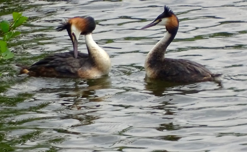 Sluizen van Tilburg.