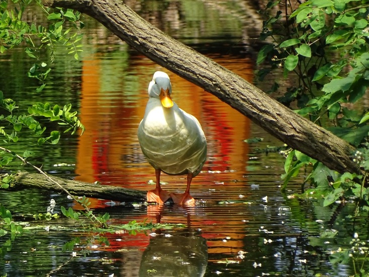 Expositie Baarle Nassau.