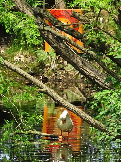 Expositie Baarle Nassau.