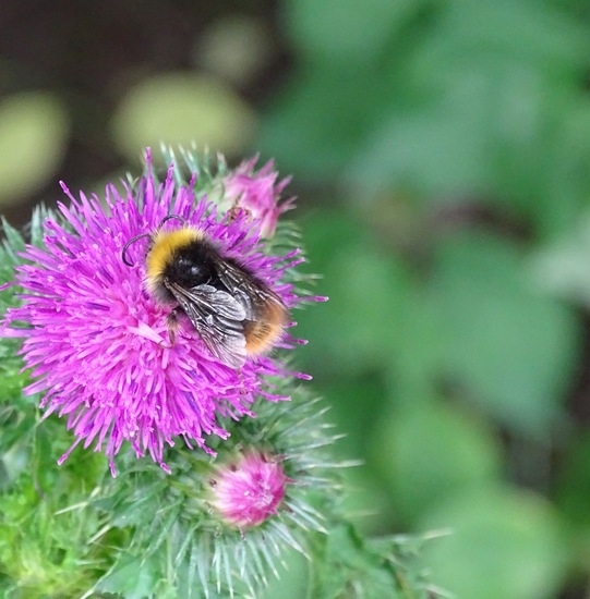 Zomaar omdat het zo mooi is.