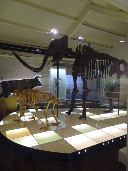 Overzichtstentoonstelling.