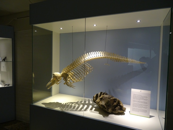 Overzichtstentoonstelling.