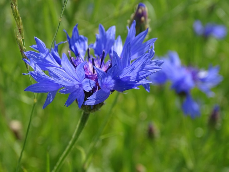 Omgeving Klein Vink.