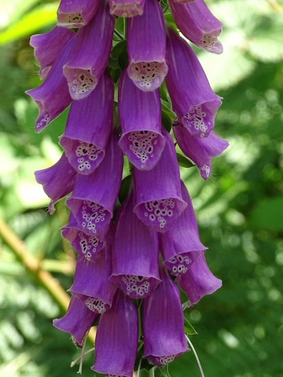 Omgeving Klein Vink.