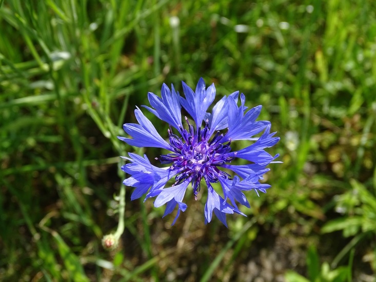 Omgeving Klein Vink.