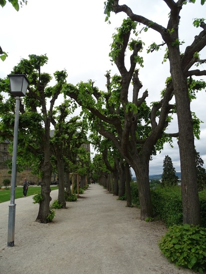 Bamberg, 2016 mei.