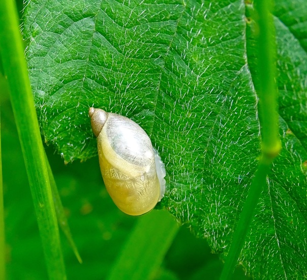 De Brand, 16-6-2016.