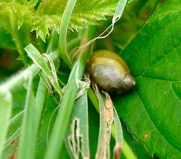 De Brand, 16-6-2016.