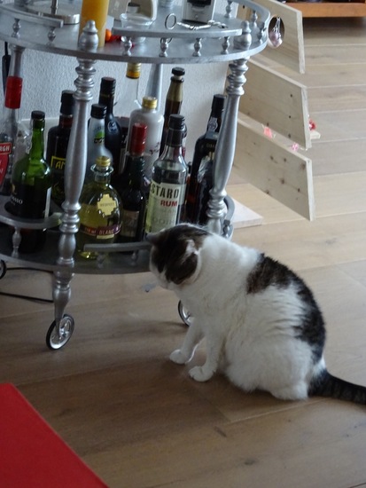 Gek op het wijnrekje.