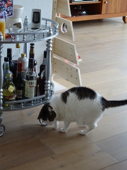 Gek op het wijnrekje.