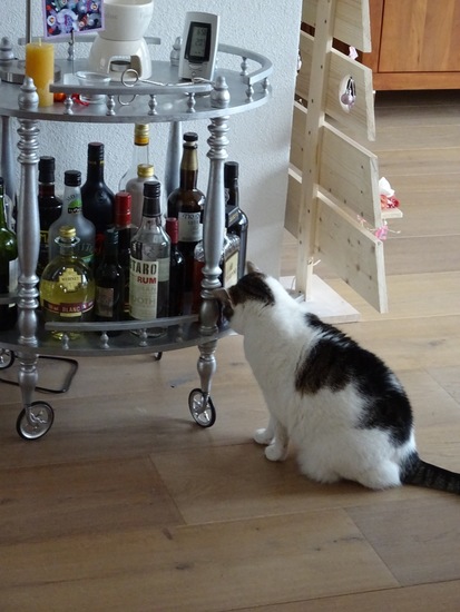 Gek op het wijnrekje.