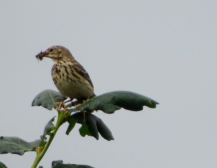 Tilburg, industriegebied.