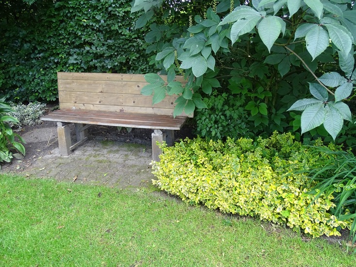 Tuin Dongen, 3-7-2016.