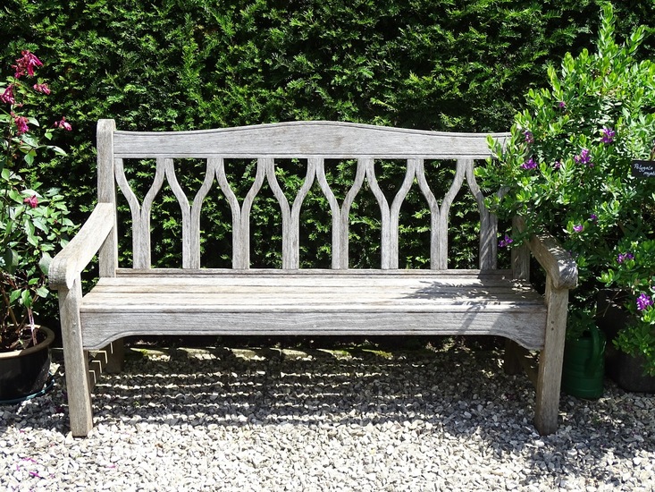 Tuin Dongen, 3-7-2016.