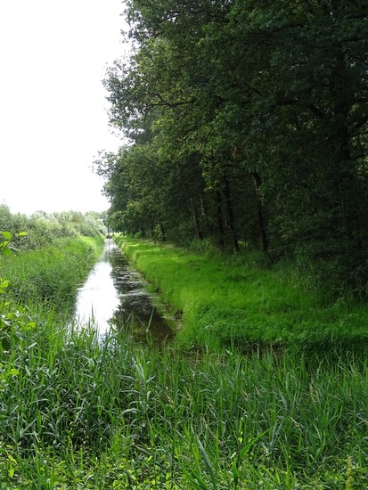 Kampina Oisterwijk.