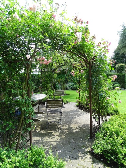 Tuin Dongen, 3-7-2016.