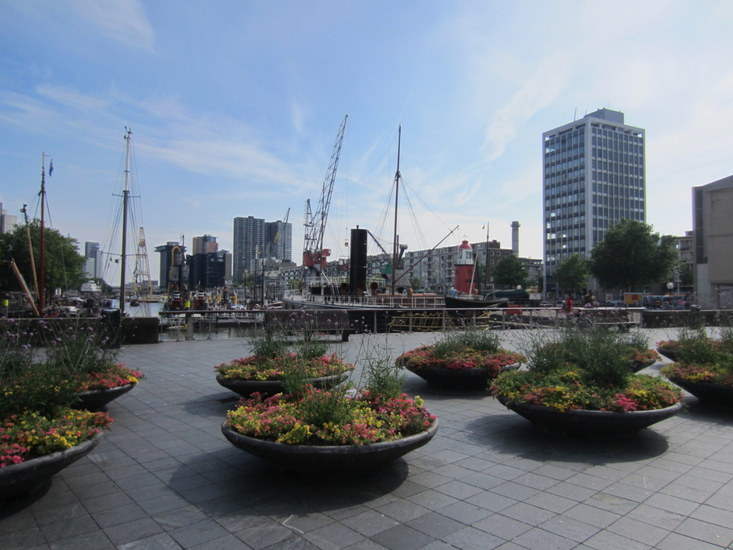 Rotterdam 2013.
