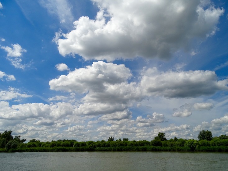 Biesbosch. 6-7-2016.