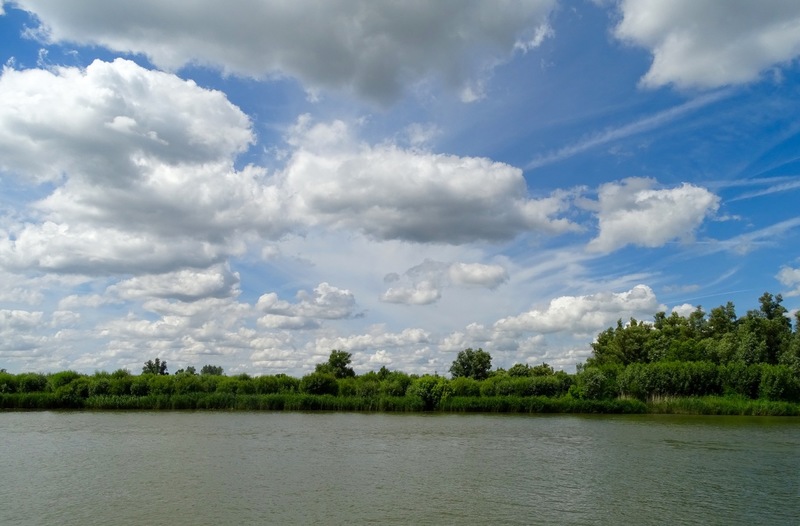 Biesbosch. 6-7-2016.