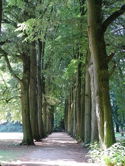 Park Oosterhout.