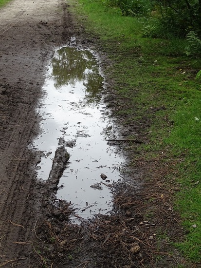 Begin augustus 2016.