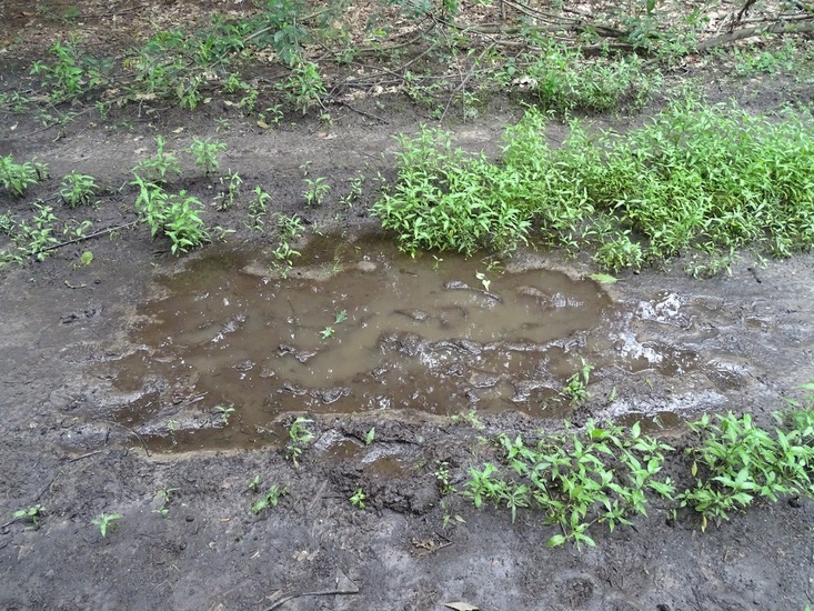 Begin augustus 2016.