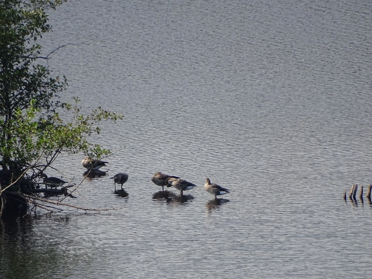 Uitzicht vanaf Uitkijktoren.